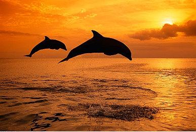 《流放之路2》正式版不会继承EA进度 但也不会清空