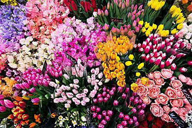 《Stellar Mess》第一章免费发布 好评2D冒险